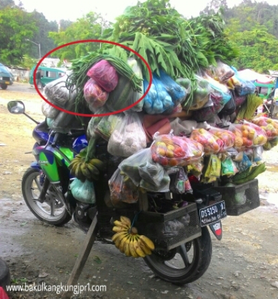 wpid tukang sayur keliling jayapura 1 jpg jpeg  Zona 